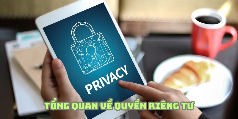 Chính sách được nền tảng chú trọng xây dựng bài bản